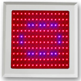 150w de LEIDENE Installatie kweekt Lichtrood Blauw spectrum voor Plantaardige Loods en botanische garde