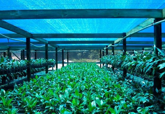 Netto, Landbouw de Schaduwdoek van de serreschaduw voor Bloemlandbouwbedrijf