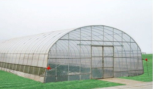 Aangepaste energie - besparings Commerciële serres, 8000mm de serre van de spanwijdtetunnel