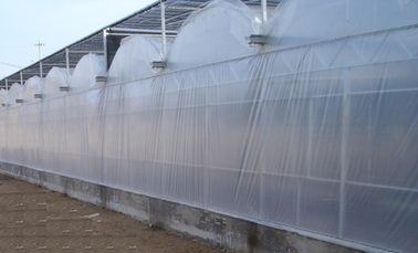 9600mm spanwijdte Commerciële serres, 4000mm van de de inflatiefilm van de sectielucht de serre van Venlo