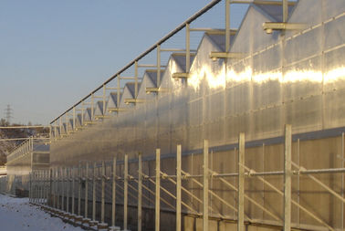3 randen per spanwijdte Multi - de Commerciële serres van het spanwijdtepolycarbonaat, 4000mm sectie