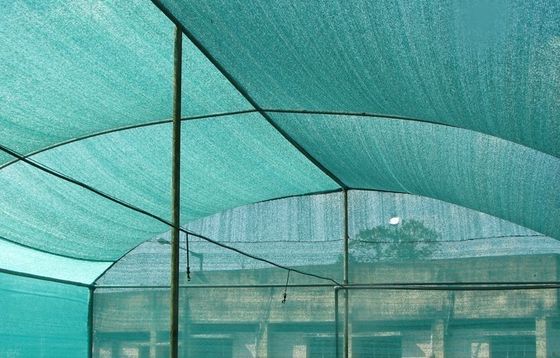Het donkergroene Serreschaduw Opleveren