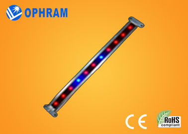 10W SMD 2835 Plantaardige/Bloeiende leiden kweekt Lichten met Stralingshoek 180°