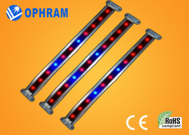 10W SMD 2835 Plantaardige/Bloeiende leiden kweekt Lichten met Stralingshoek 180°