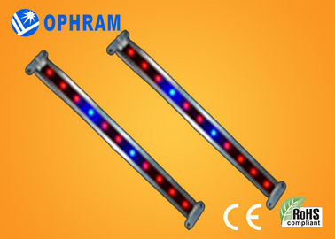 10W SMD 2835 Plantaardige/Bloeiende leiden kweekt Lichten met Stralingshoek 180°
