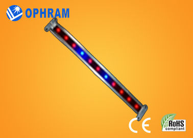 10W SMD 2835 Plantaardige/Bloeiende leiden kweekt Lichten met Stralingshoek 180°