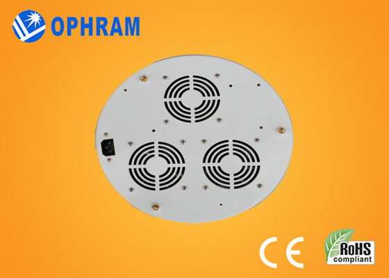 110V/220V 50Hz/60Hz Volledige het Spectrumleiden van Epistar 90W kweekt Lichten