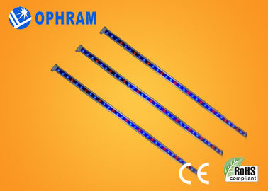 26 leiden van het wattsip65 Volledige Spectrum kweken Lichten met Aluminium + PC-Dekking