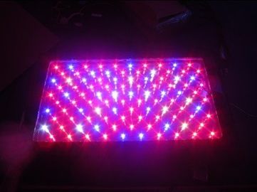 120W leiden van de hoge machtsserre groeien Licht